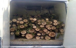 годишен семчиново подкара бус крадени дърва