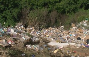 кмет обяви награда информация изхвърля боклуци ковачевица