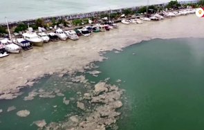 кошмар морска слуз завъди гръцки остров