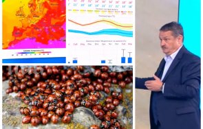 проф георги рачев горещ коментар торнадото чехия топ синоптикът разясни калинки пазим канибали