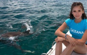 нина добрев лео каприо спасяват акули