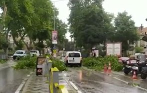 паднали стълбове дървета силна буря одрин видео