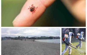 проф ива христова предупреди напаст кърлежи