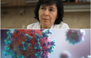наш професор добра новина мутациите коронавируса еволюира вирусът