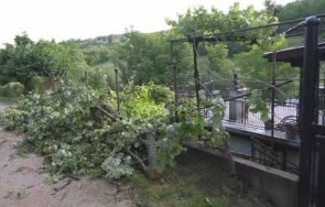 паднало дърво разкъса електрически кабели лютидол