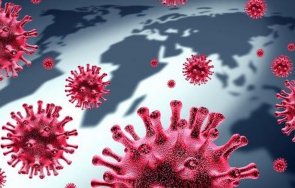 сзо 337 163 случая заразяване коронавируса денонощието света