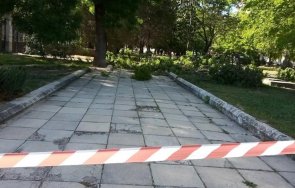 клон стовари учителка деца време тържество края годината