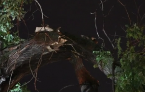 източна българя щети бурята