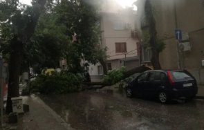 буря удари пловдив скъса жица снимки