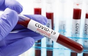 300 новозаразени коронавируса денонощие аржентина