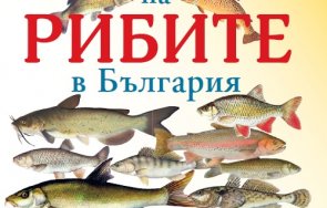 книга сергия