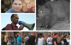 зеленото движение дебъ яхна кръвожадната мечка прави безплатна кампания медиите