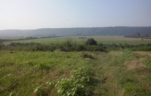 скок цените земеделските земи монтанско