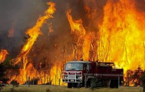 четирима загинали пожарите кипър