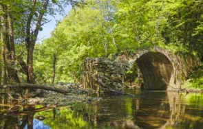 партия зелените сме чиста природа