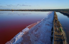 еколози бият тревога системата атанасовското езеро