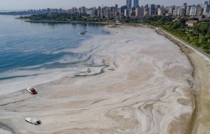 санкции редица предприятия фирми заради замърсяването мраморно море