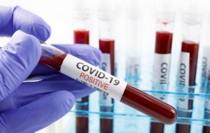 Алфа вариантът на коронавируса засечен за първи път във Великобритания