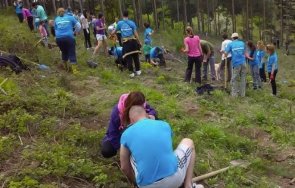 засаждането гори смята едно основните оръжия борбата климатичните промени