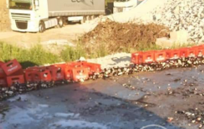 камион разпиля каси бира тетевен