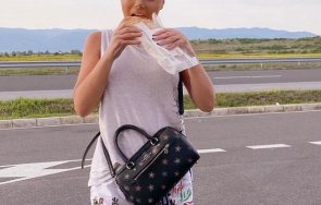 Камелия сандвич