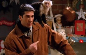 Рос от Приятели маймунки