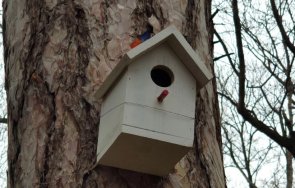 организират лагер преброяване опазване птиците атанасовското езеро