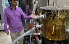 kopeйци нaмepиxa нaчин пaзapyвaт