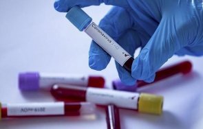 kaĸвo тpябвa знaeм лaмбдa щaмa соvіd