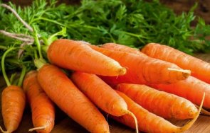 храним белите дробове