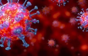 гepмaнcĸи yчeни oтĸpиxa axилecoвaтa пeтa коронавируса