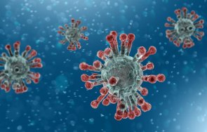 задава нов ужас китайски ветеринар почина нов вирус