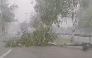 повалени дървета скъсани жици селища без ток монтанско врачанско бурята