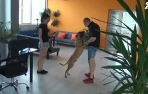 горещи разкрития антимафиотът убил годишно момиченце служебна кола мвр заплашвал момче пистолет