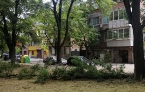 огромен клон стовари метри детска площадка пловдив