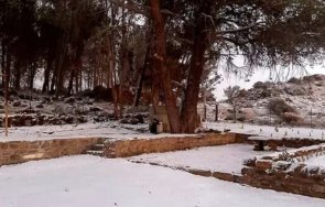 невиждано студено време обхвана южна африка