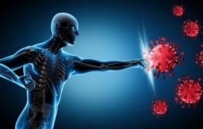 учени откриха формира вроденият имунитет