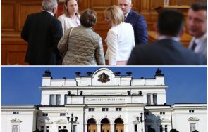 мрежата гърми скандалното предложение ива митева щом парламентът заседава седмица заплатите наполовина