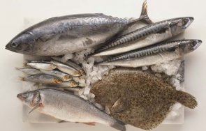 Риби Черно море