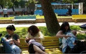 цяла седмица кърмят открито търново