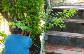 търсачи съкровища атакуват атанасовското езеро бургас