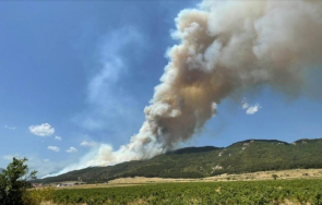 пламна балканът сопот мобилизират огнеборци