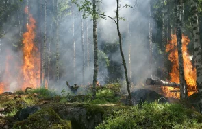 турция продължава бори унищожителните пожари жертвите момента