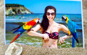 Неда Спасова папагали