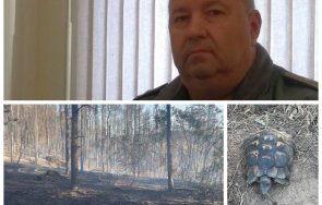 шефът пожарната пловдив покъртителен разказ пепелището горите хисаря