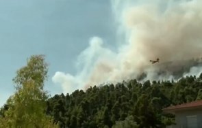 стотици евакуирани заради пожарите остров евия