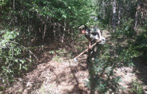 армията включи гасенето пожара горите хисаря