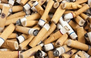 учени нидерландия създадоха робот събира фасове