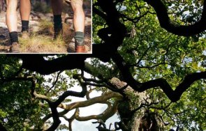 нудисти покваряват гората робин худ