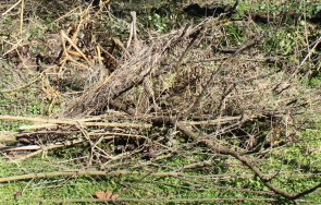 троян априлци въвеждат разделно събиране растителни отпадъци